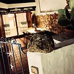 Nyaraló Casa Shardana Cugnana